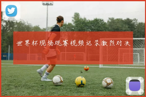 世界杯现场观赛视频记录激烈对决