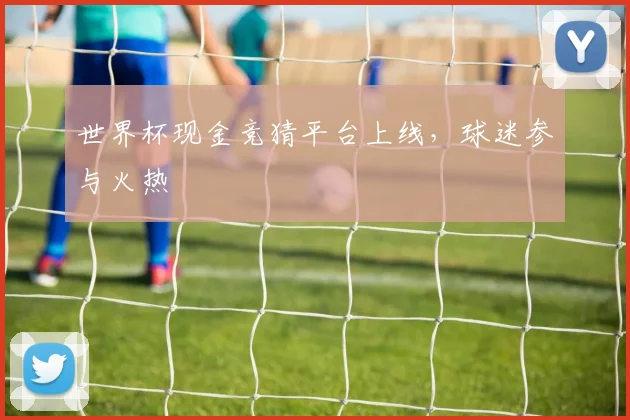 世界杯现金竞猜平台上线,球迷参与火热