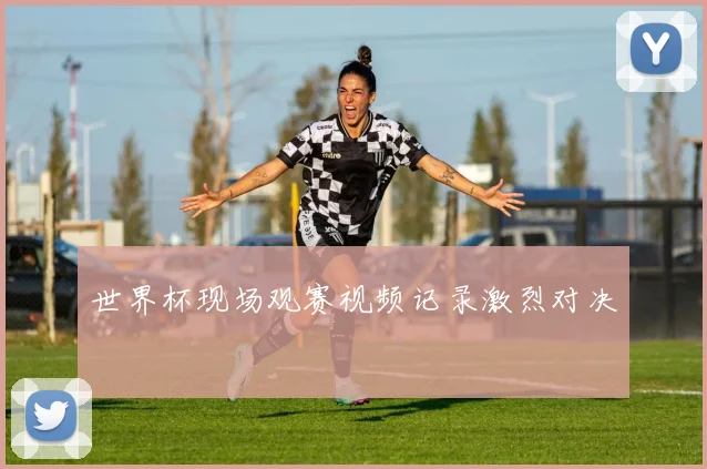 世界杯现场观赛视频记录激烈对决