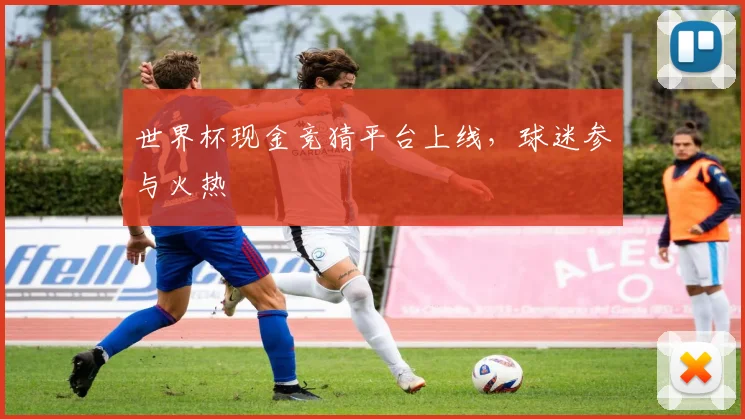 世界杯现金竞猜平台上线,球迷参与火热