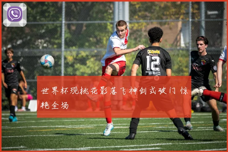 世界杯现桃花影落飞神剑式破门 惊艳全场